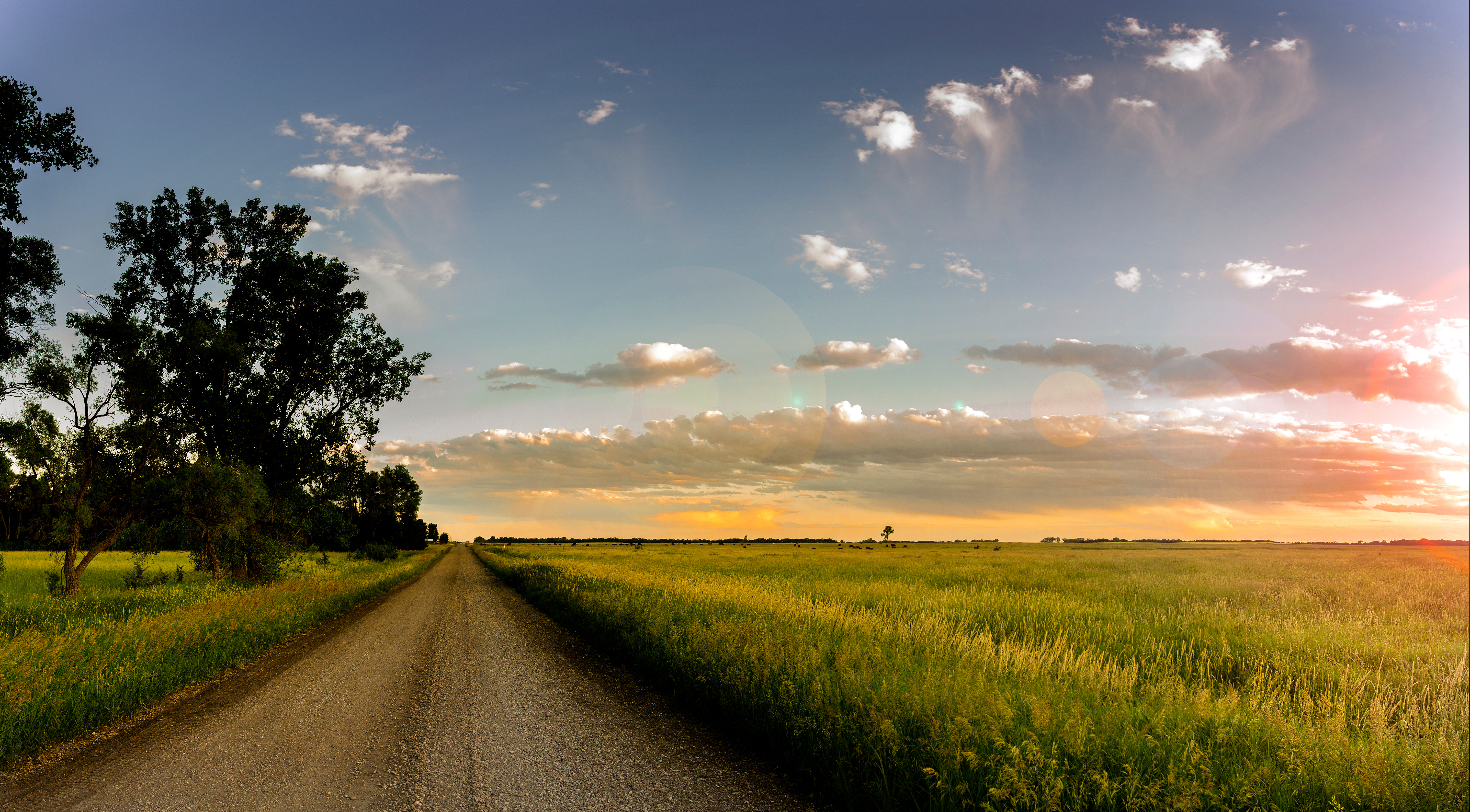 Local agricultural initiatives: sources of resilience in the