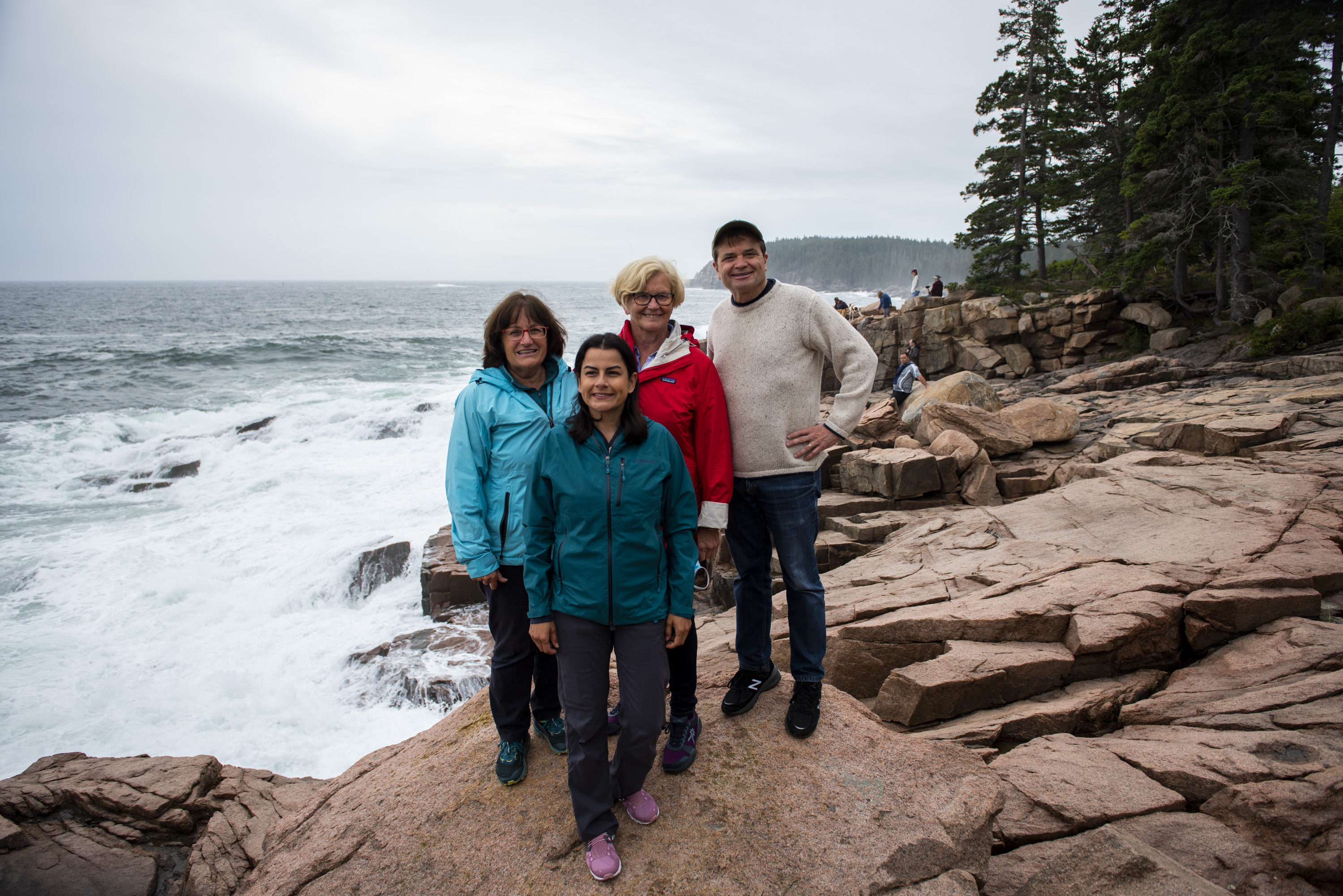 Invasive Plants - Acadia National Park (U.S. National Park Service)