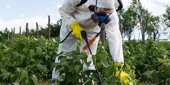 paraquat