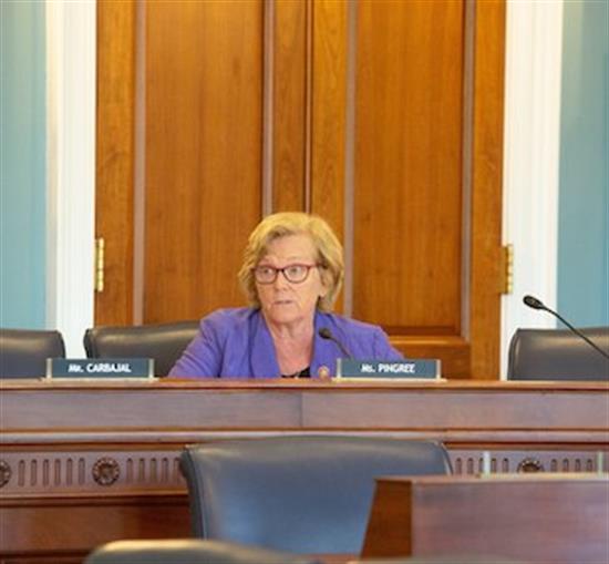 Rep. Pingree in a committee room