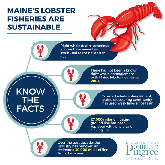 Maine Lobster Fact Sheet - Maine Lobster