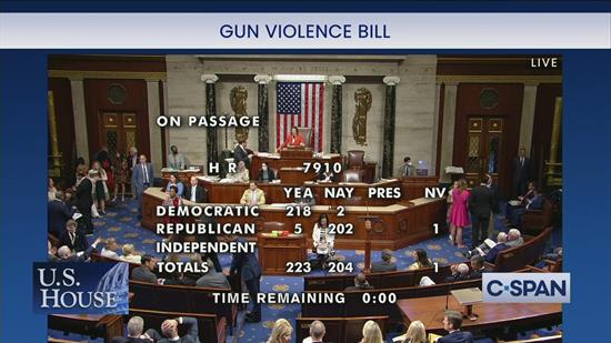 Gun Violence Prevention Bill Vote Count