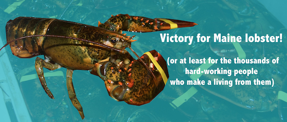 lobster victory
