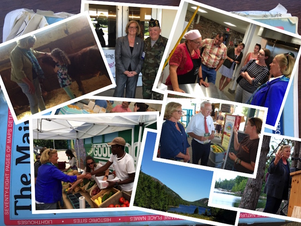 2016 Summer Snapshots